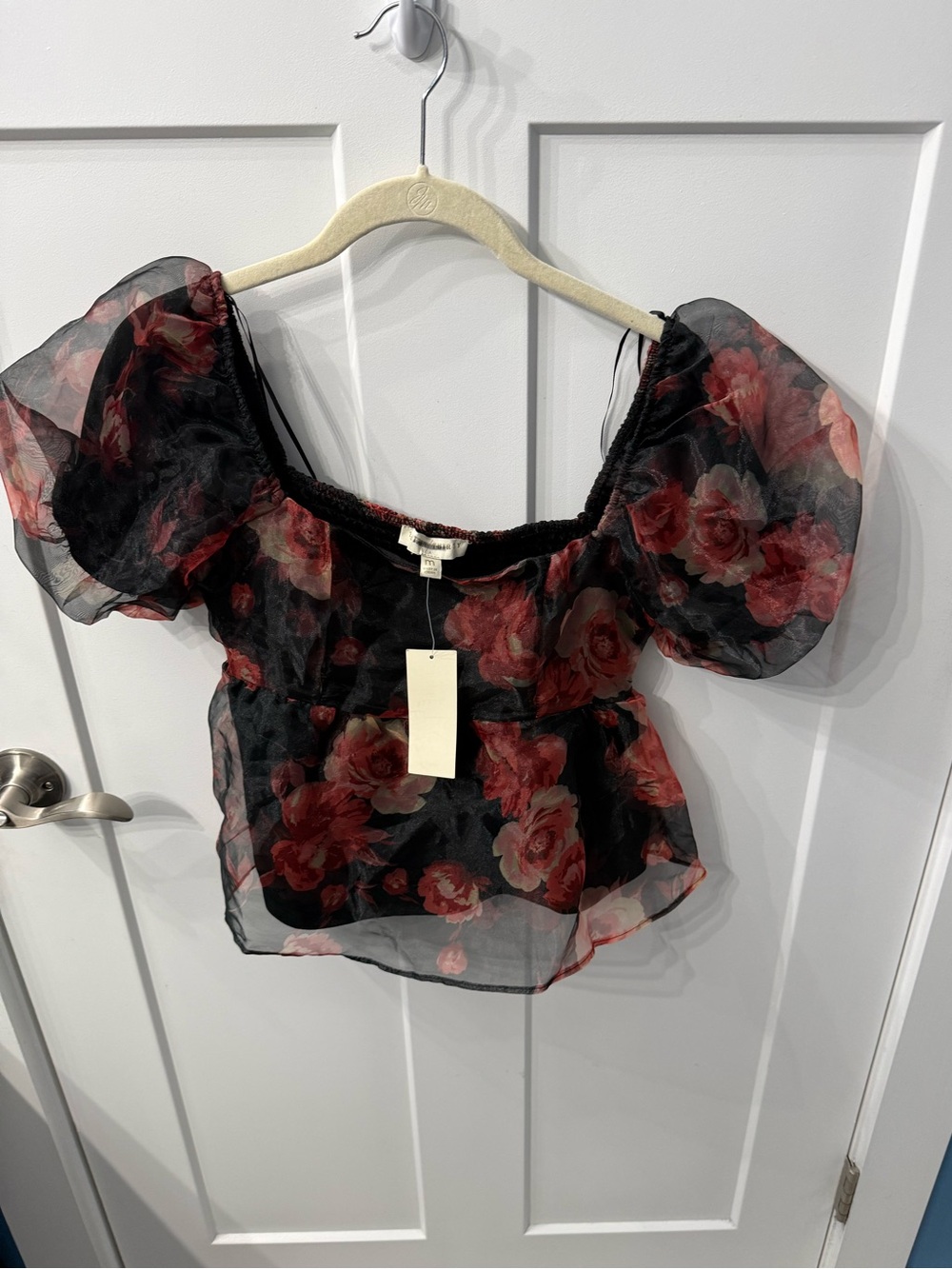 Sheer Floral‎ Puff-Sleeve Crop Top - Black & Red